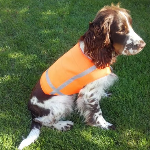 Signalweste Holstein „PLUS“ mit Reflektorenstreifen