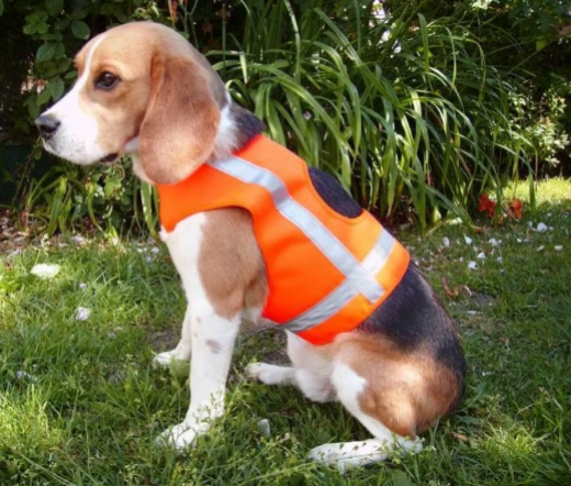 Signalweste Holstein „STANDART“ mit Reflektorenstreifen