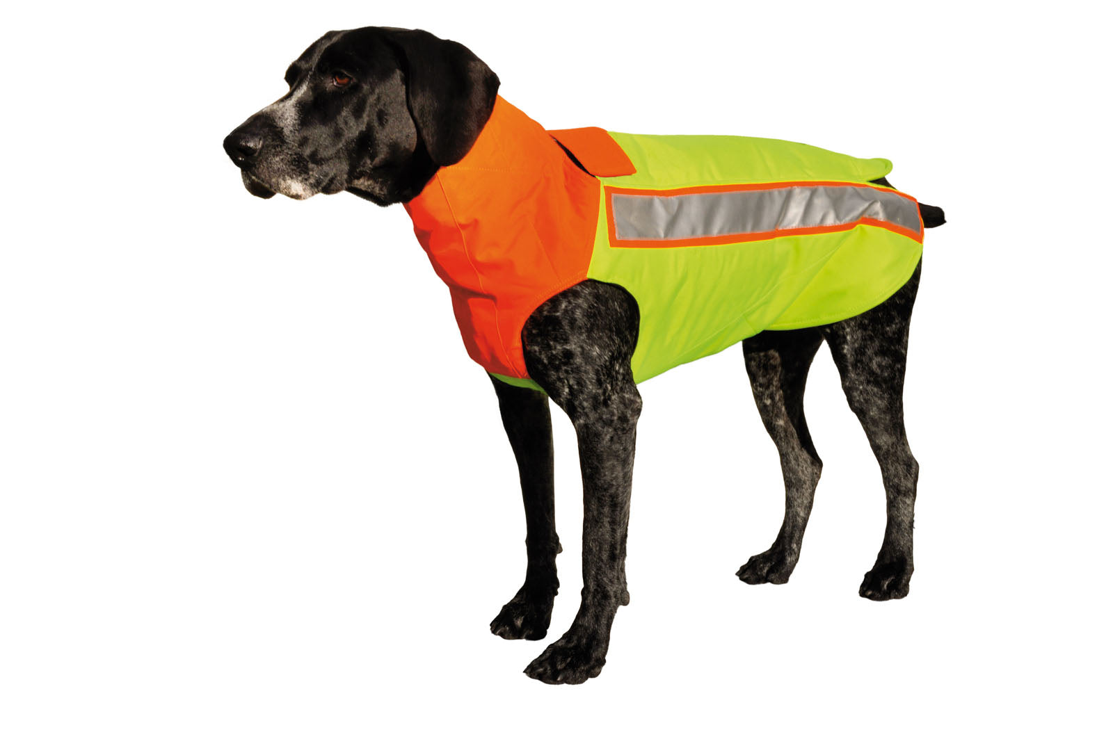 Hundeschutzweste Kevlar Hubertus