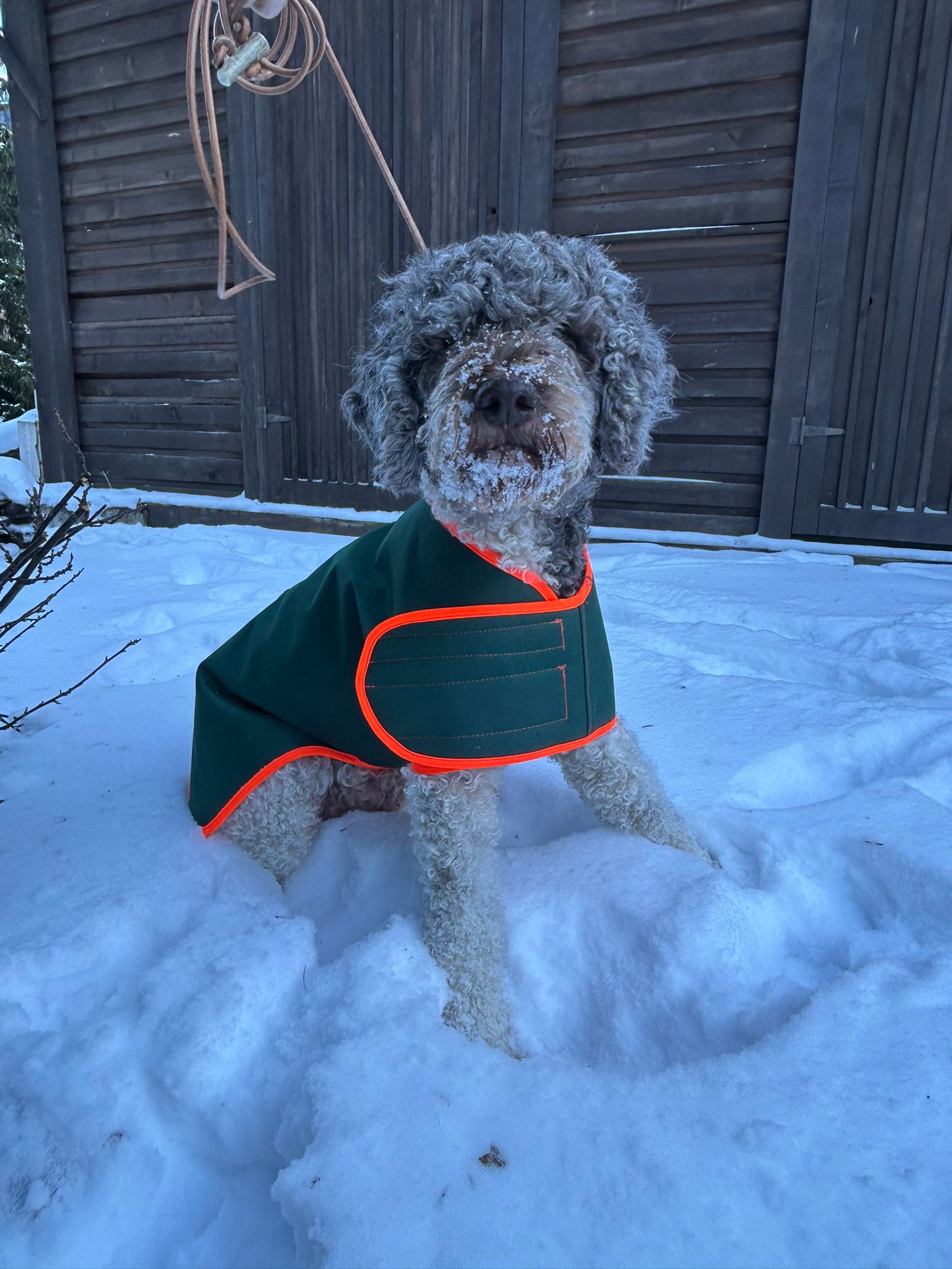 Hunde-Wärmemantel "Asco"