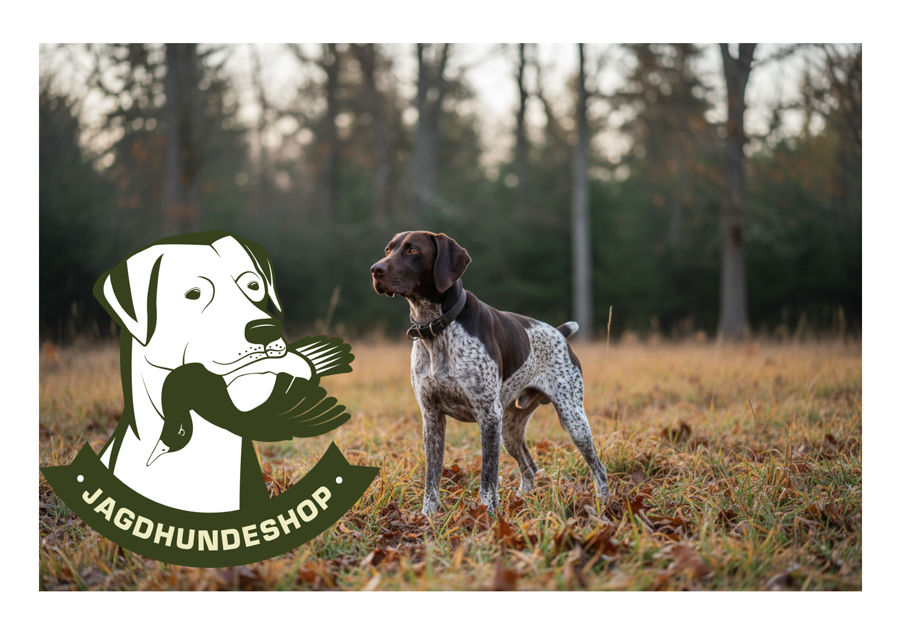 Jagdhundeshop Gutschein